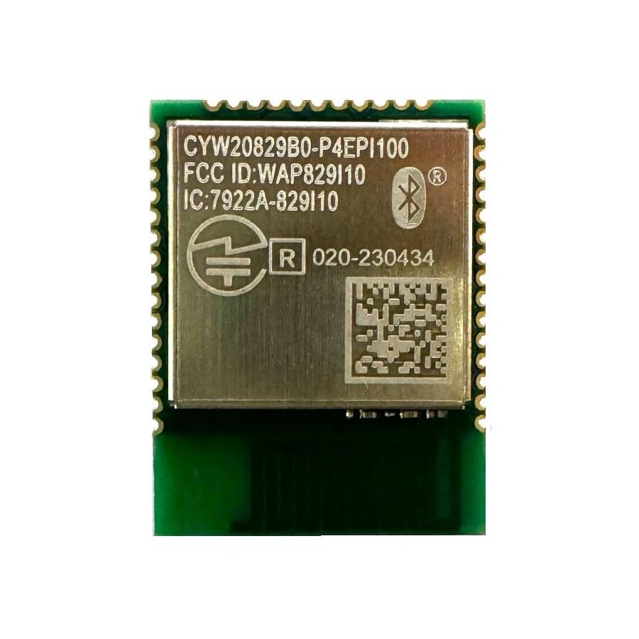 CYW20829B0P4EPI100XUMA1 功能模块 41-SMD Module